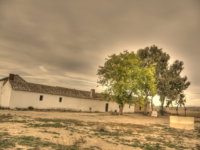 Las Tamujas en Malpica de Tajo